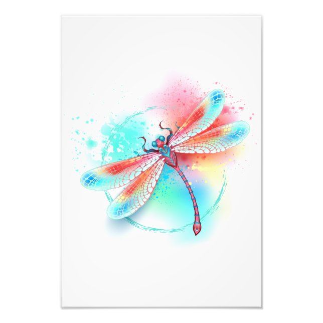Red dragonfly on watercolor background photo print (Front)