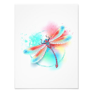 Red dragonfly on watercolor background photo print