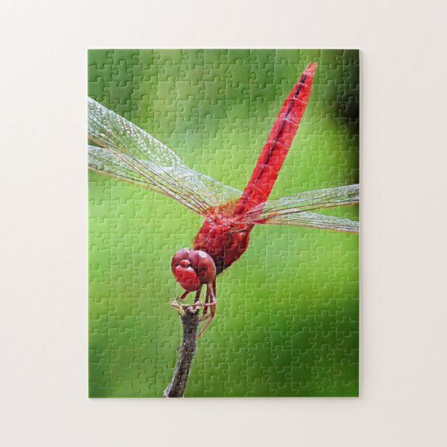 Red Dragonfly Puzzle Green Background (Vertical)