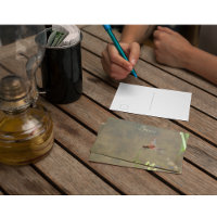 Red dragonfly resting on a straw