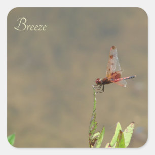 Red dragonfly resting on a straw square sticker