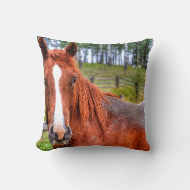 Red Dun Ranch Horse Animal-lover Photo 2 Throw Pillow (Front)