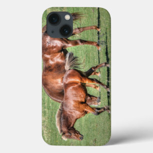 Red Dun Walking Horses & Field Animal-lover Photo iPhone 13 Case