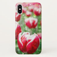red Dutch tulips