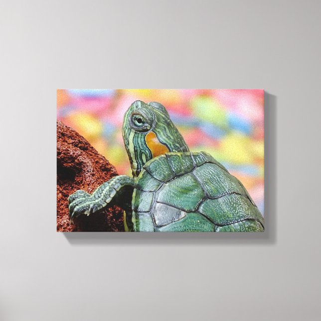 Red-eared slider turtle canvas print (Front)