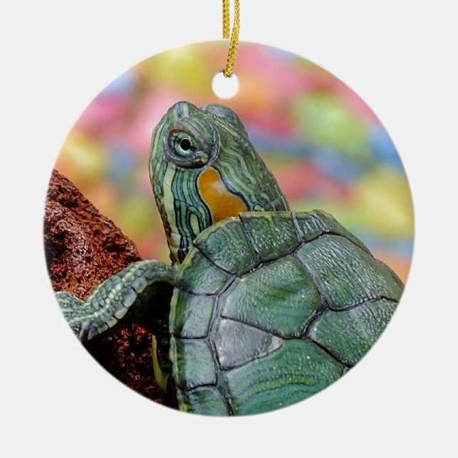 Red-eared slider turtle ceramic ornament (Front)
