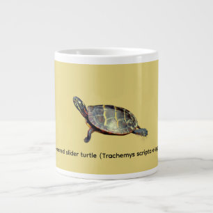 Red-eared slider turtle large coffee mug
