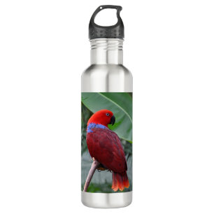 Red eclectic parrot 710 ml water bottle