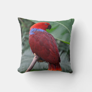 Red eclectic parrot throw pillow