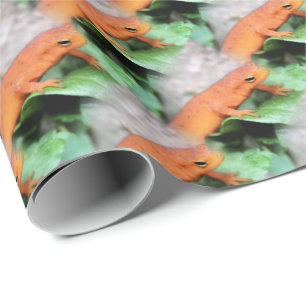 Red Eft Orange Salamander Animal Pattern   Wrapping Paper