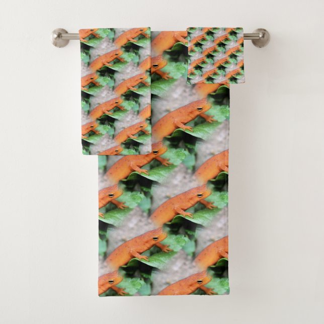 Red Eft Orange Salamander Motif animal (En situation)