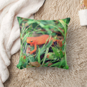 Red Eft Orange Salamander Nature 1  Throw Pillow