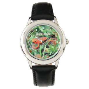 Red Eft Orange Salamander Nature 1    Watch