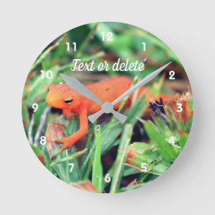 Red Eft Orange Salamander Nature Personalized Round Clock