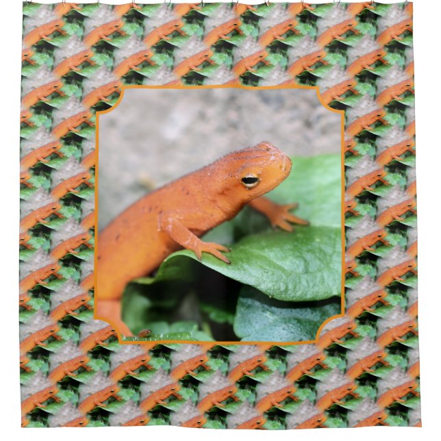 Red Eft Salamander Animal Nature Pattern  (Front)