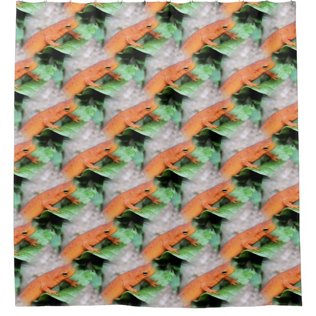 Red Eft Salamander Animal Nature Pattern  (Front)