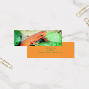 Red Eft Salamander Nature Mini Bookmark
