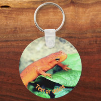 Red Eft Salamander Nature Personalized