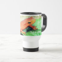 Red Eft Salamander Nature Personalized