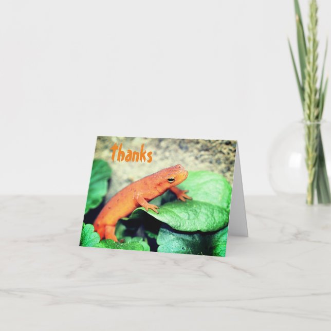Red Eft Salamander Nature Thank You Card (Front)
