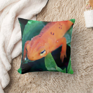 Red Eft Salamander Raindrop On Eye Throw Pillow