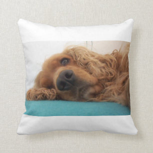 red english cocker spaniel 2.png throw pillow
