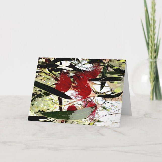 red eucalyptus flower holiday card (Front)