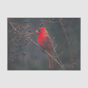 Red Exotic Cardinal Wildlife Tissue Paper