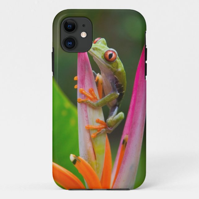 Red-eye tree frog, Costa Rica Case-Mate iPhone Case (Back)