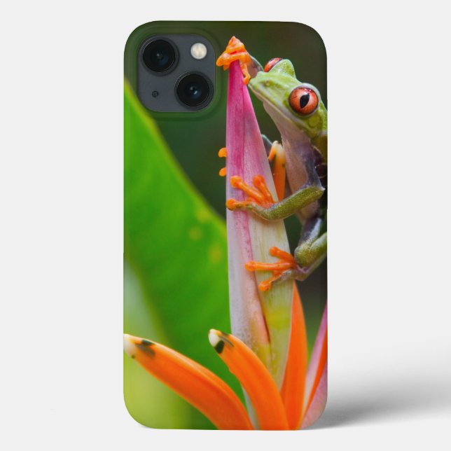 Red-eye tree frog, Costa Rica Case-Mate iPhone Case (Back)