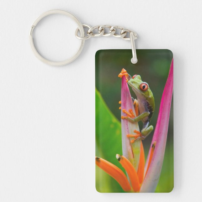Red-eye tree frog, Costa Rica Keychain (Front)