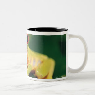 Red eye tree frog Two-Tone coffee mug