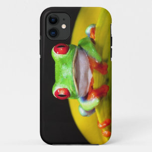 Red Eye Treefrog, Agalychinis callidryas, Native iPhone 11 Case