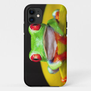 Red Eye Treefrog, Agalychinis callidryas, Native iPhone 11 Case