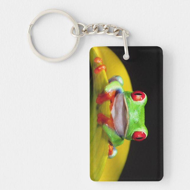Red Eye Treefrog, Agalychinis callidryas, Native Keychain (Front)