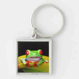 Red Eye Treefrog, Agalychinis callidryas, Native Keychain