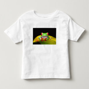 Red Eye Treefrog, Agalychinis callidryas, Native Toddler T-shirt