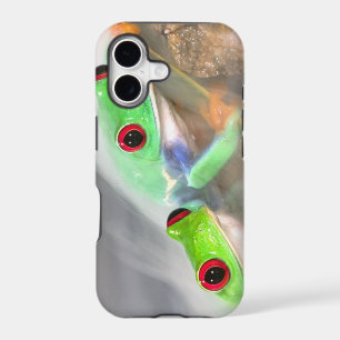 Red Eye Treefrog in the mist, Agalychinis 2