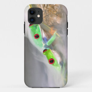 Red Eye Treefrog in the mist, Agalychinis 2 iPhone 11 Case