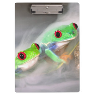 Red Eye Treefrog in the mist, Agalychinis 2 Clipboard
