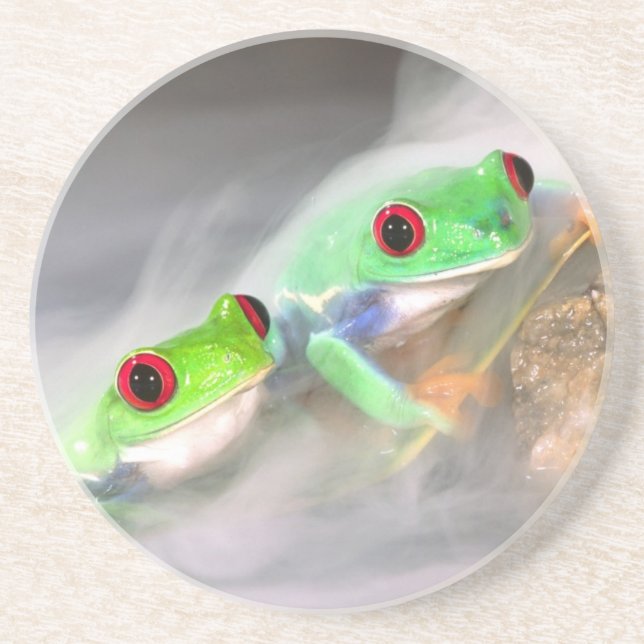 Red Eye Treefrog in the mist, Agalychinis 2 Coaster (Front)