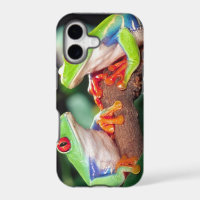 Red Eye Treefrog Pair, Agalychinis callidryas,