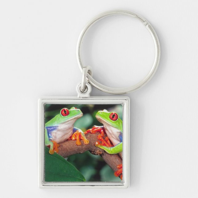 Red Eye Treefrog Pair, Agalychinis callidryas, Keychain (Front)