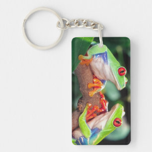 Red Eye Treefrog Pair, Agalychinis callidryas, Keychain