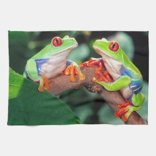 Red Eye Treefrog Pair, Agalychinis callidryas, Kitchen Towel