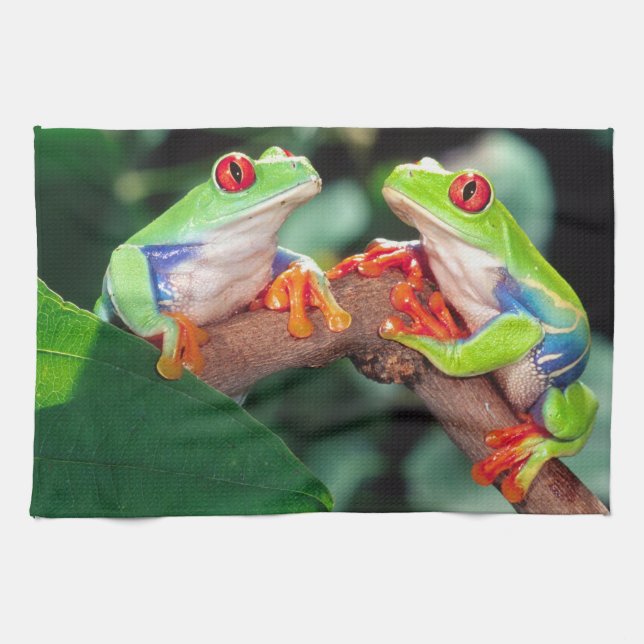 Red Eye Treefrog Pair, Agalychinis callidryas, Kitchen Towel (Horizontal)
