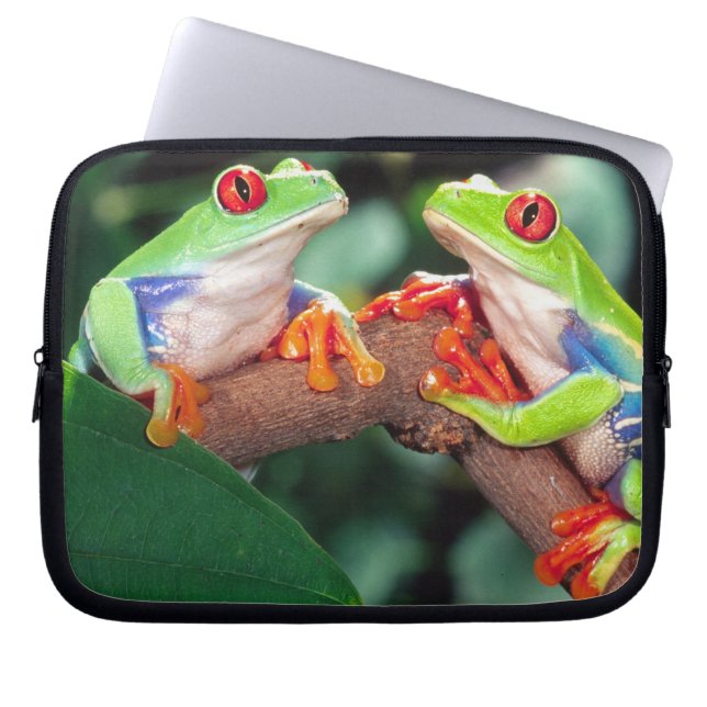 Red Eye Treefrog Pair, Agalychinis callidryas, Laptop Sleeve (Front)