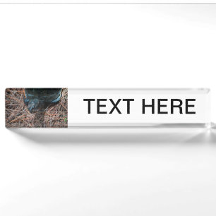 red eyed box turtle reptile animal nameplate