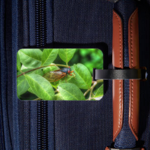 Red Eyed Cicada Luggage Tag