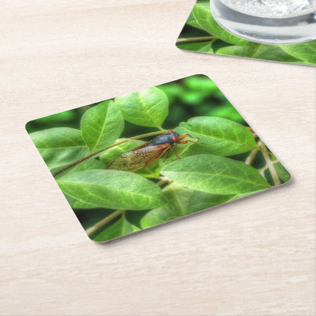 Red Eyed Cicada  Square Paper Coaster (Angled)